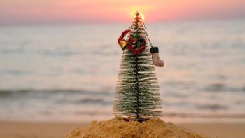 Croisières de Noël et Nouvel An : passez les fêtes en mer avec style