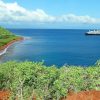 Embarquez pour une aventure écologique en mer et découvrez l’écotourisme marin