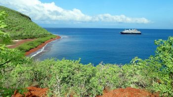 Embarquez pour une aventure écologique en mer et découvrez l’écotourisme marin