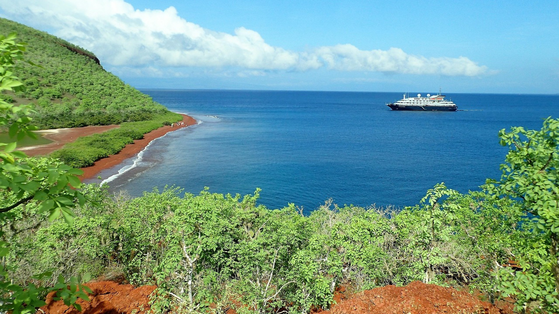 Embarquez pour une aventure écologique en mer et découvrez l’écotourisme marin