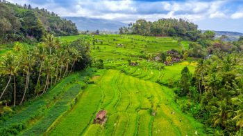 Les meilleures excursions en Indonésie à réserver via une agence de voyage