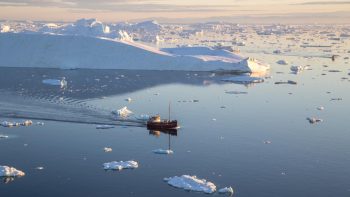 Quand partir en croisière en antarctique ?