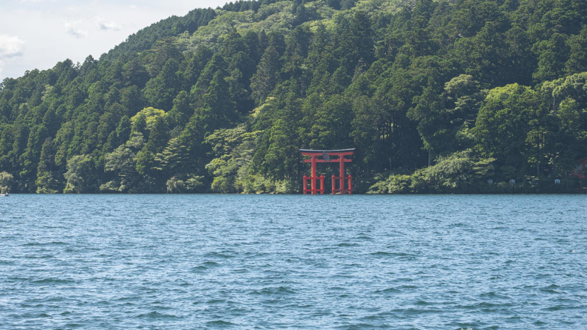 Que peut-on voir lors d'un séjour en mer au Japon ?