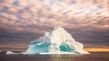 Quelle est la durée idéale pour une croisière en antarctique ?