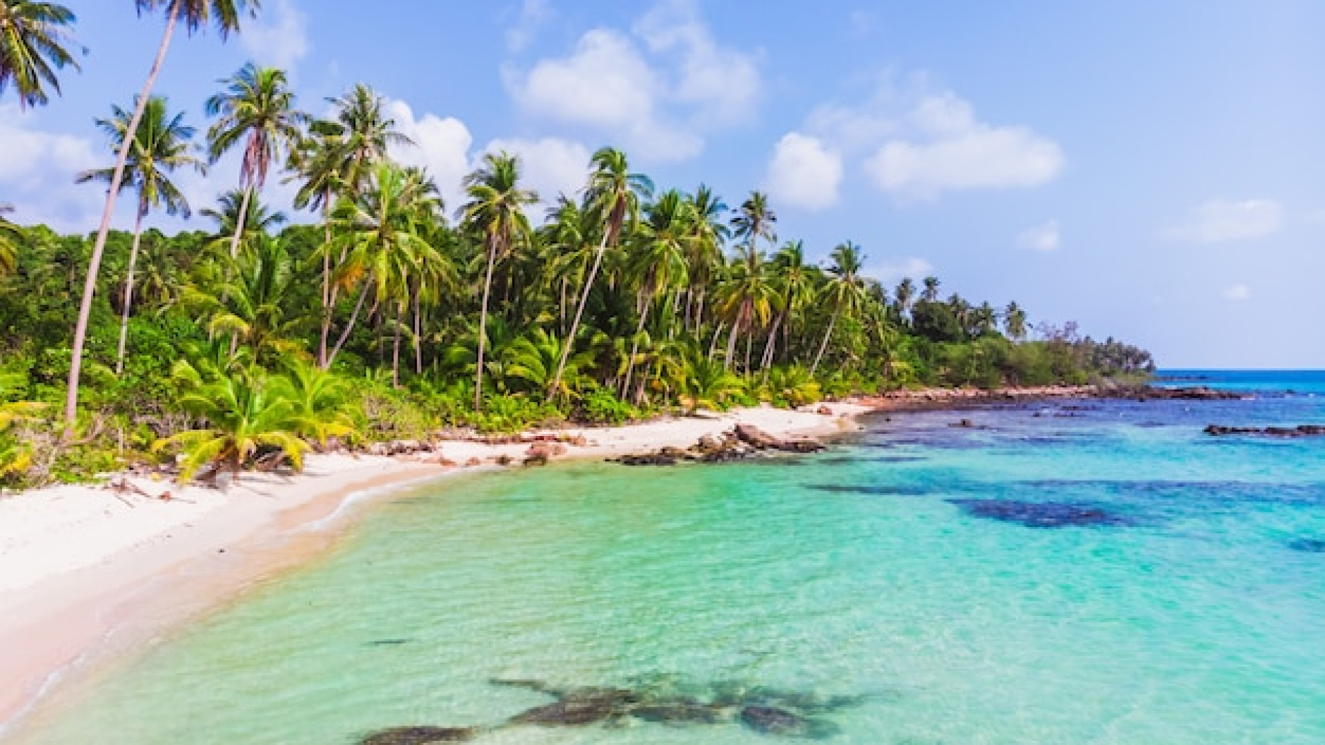 Partir en croisière aux Caraïbes : choisir la meilleure période !