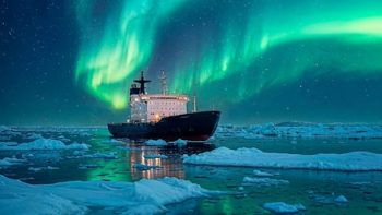 Voyager en Arctique : pourquoi choisir une croisière pour découvrir ce continent gelé ?