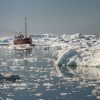 Croisière antarctique : le voyage d’une vie au cœur du continent blanc