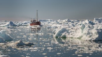 Croisière antarctique : le voyage d’une vie au cœur du continent blanc