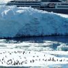 Qu’est-ce que la compagnie de croisière Ponant ?