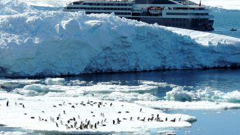 Qu’est-ce que la compagnie de croisière Ponant ?