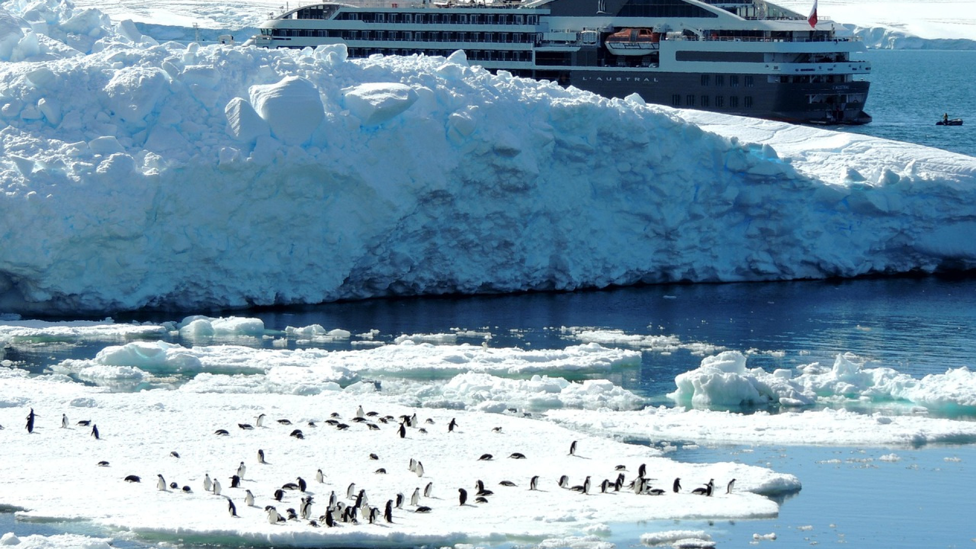 Qu’est-ce que la compagnie de croisière Ponant ?