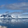 Croisière en Antarctique : ce qu’il faut savoir avant de se lancer